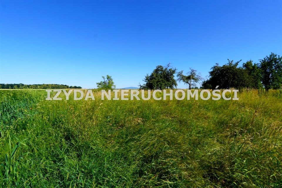 Działka usługowa Mikoszowa
