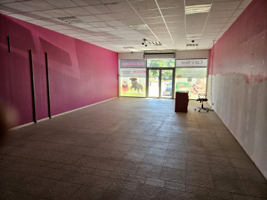 Lokal Sosnowiec wynajem