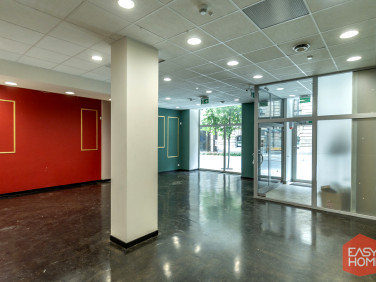 Lokal Poznań