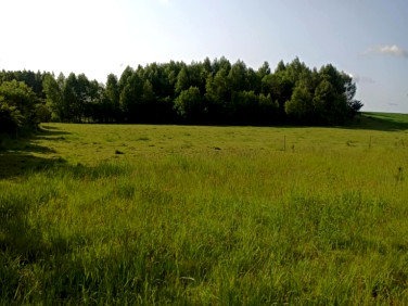 Działka Łebno