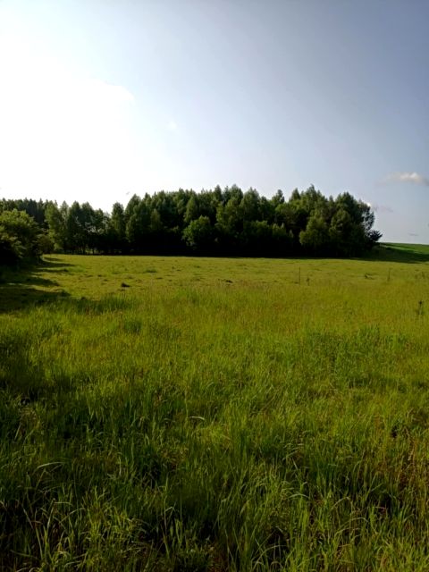 Działka Łebno