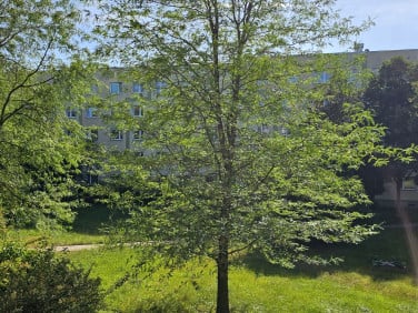 Mieszkanie Łódź