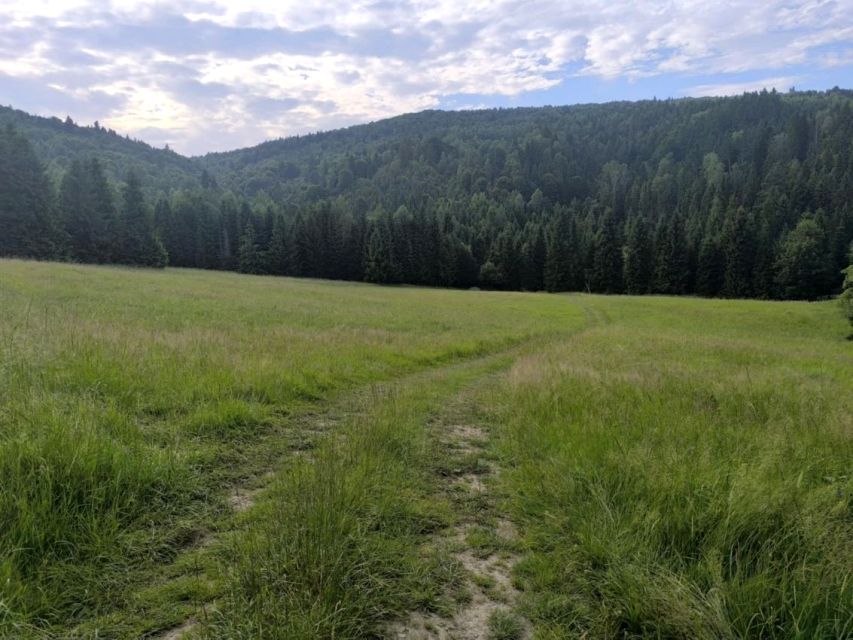 Działka rolna Rajcza
