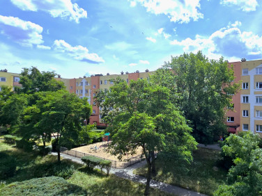 Mieszkanie Toruń