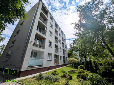 Mieszkanie Kielce