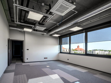 Lokal Gliwice wynajem