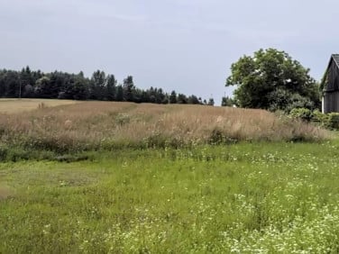 Działka budowlano-rolna Skrzyszów