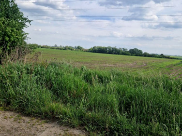 Działka Wysoka