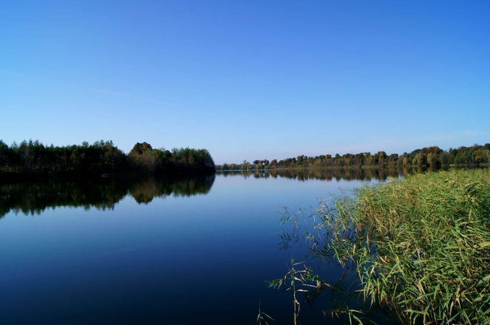 Działka rekreacyjna Orle