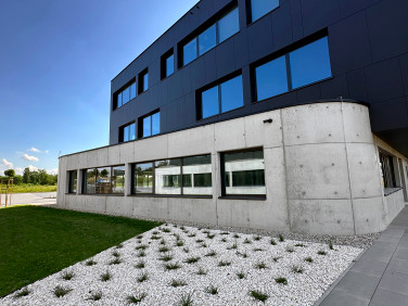 Lokal Gliwice