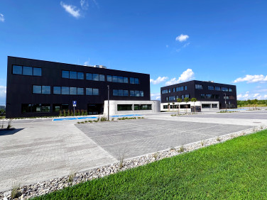 Lokal Gliwice