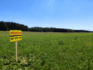 Działka rolna Wierzchlesie