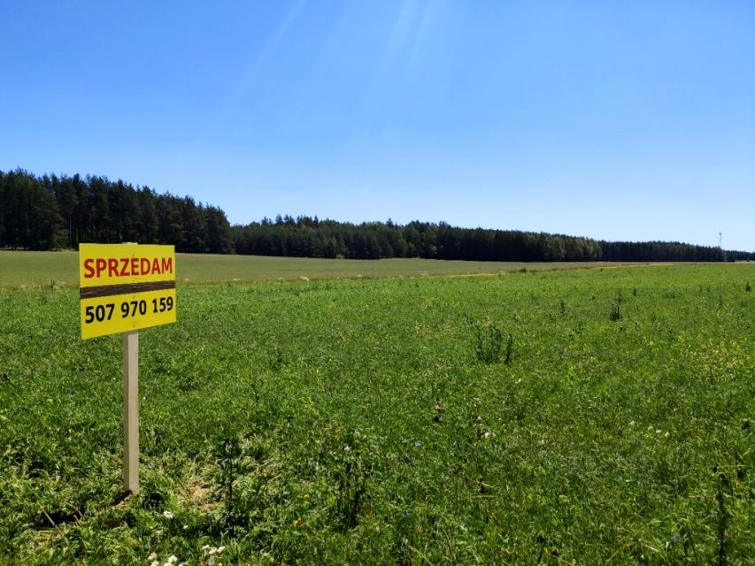 Działka rolna Wierzchlesie