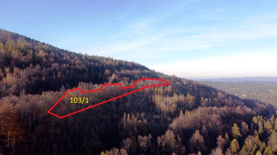 Działka leśna Karpacz