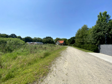 Działka Kościno