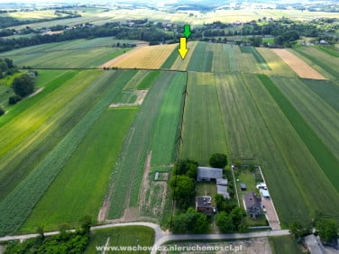 Działka rolna Orłów