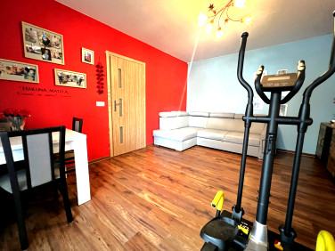 Mieszkanie przy lesie