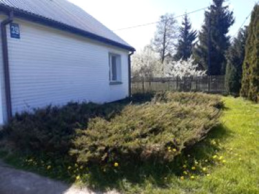 Dom adampol