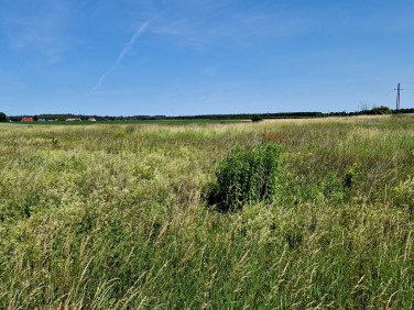 Działka Mściszewo