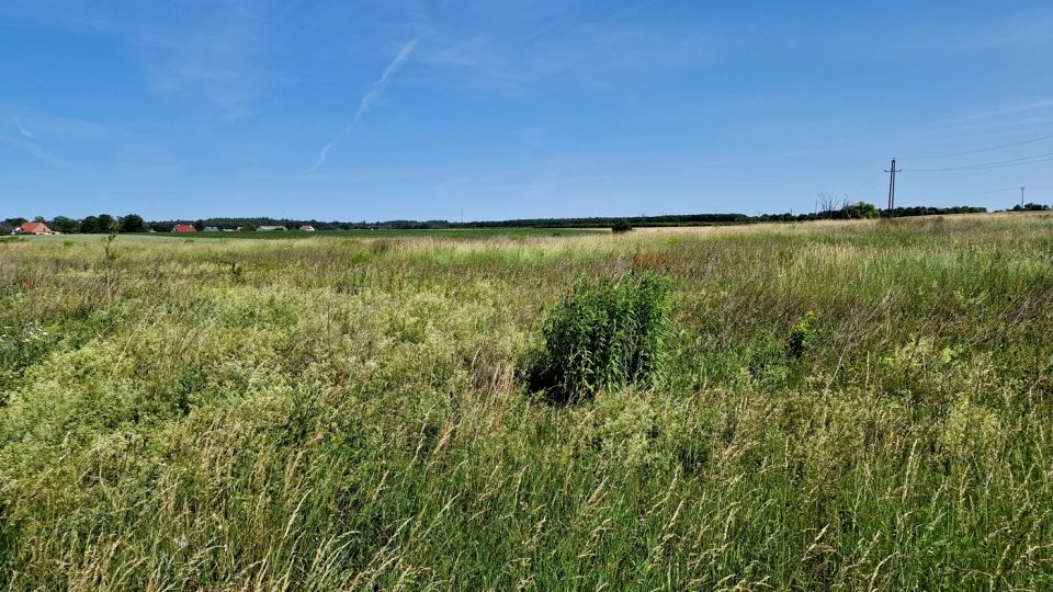 Działka Mściszewo