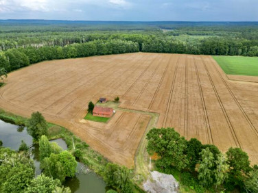 Działka rolna Ciarka