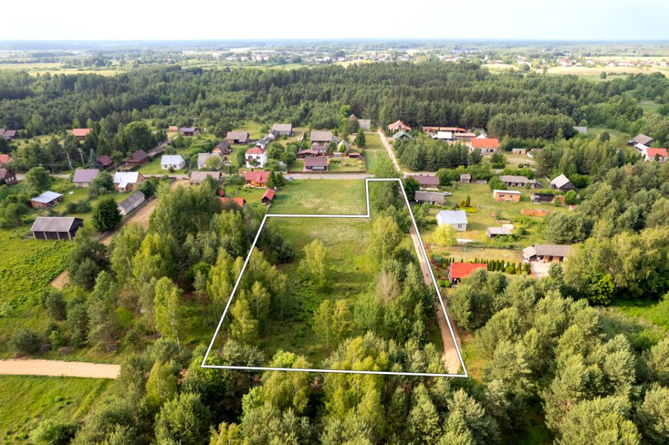 Zdjęcie 3