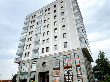 Lokal Elbląg