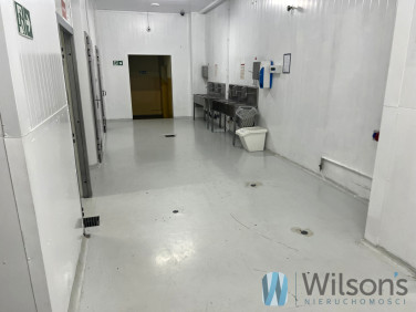 Lokal Nowe Lipiny wynajem