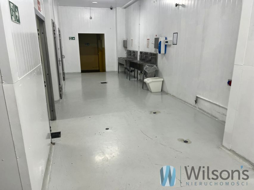 Lokal Nowe Lipiny wynajem