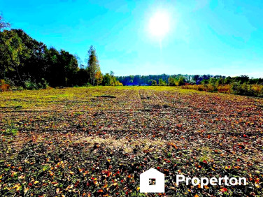 Działka Mierżączka