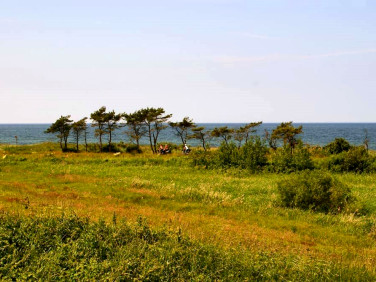 Działka budowlana Poddąbie