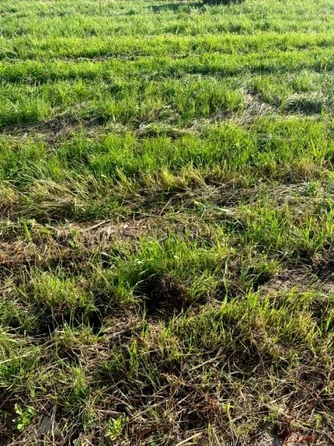 Działka budowlana Orzechowo