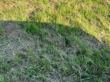 Działka budowlana Bobolin