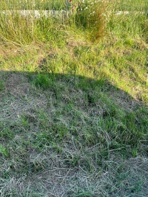 Działka budowlana Bobolin