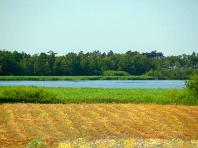 Działka budowlana Gleźnówko