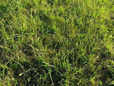 Działka budowlana Cisowo