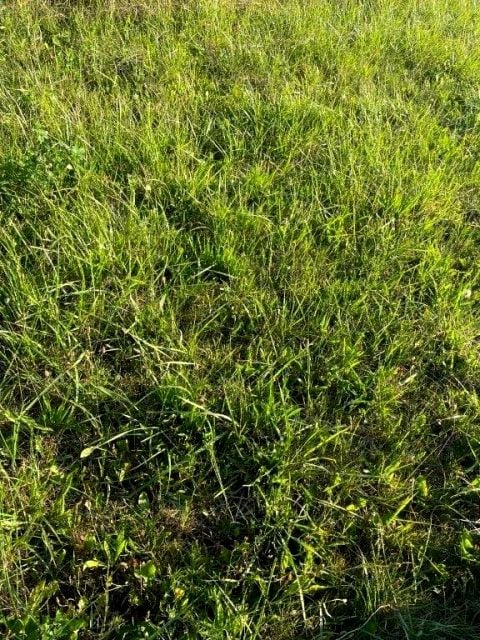 Działka budowlana Cisowo