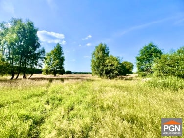 Działka rolna Gostyniec