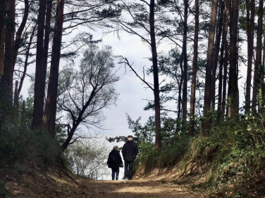 Zalesiona działka Pobierowo