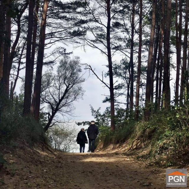 Zalesiona działka Pobierowo