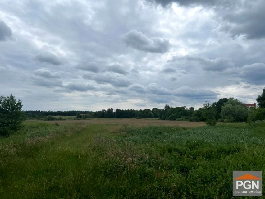 Zdjęcie 3