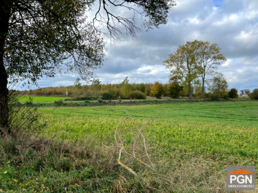 Działka rolna Gostyń