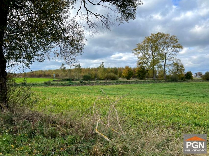 Działka rolna Gostyń