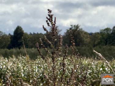 Działka budowlano-rolna Gryfice