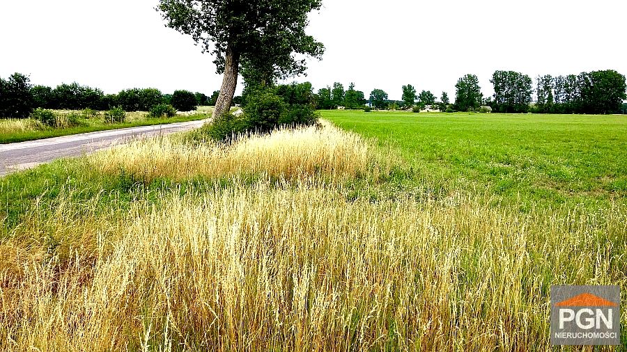 Działka budowlano-rolna Trzebieszewo sprzedam