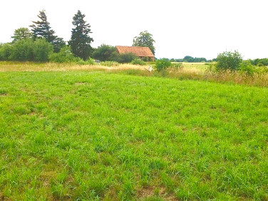 Działka budowlano-rolna Trzebieszewo