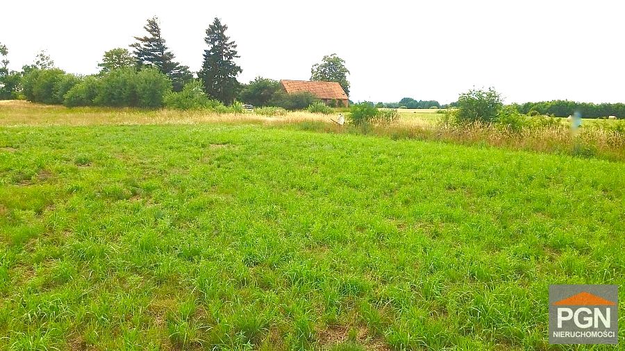 Działka budowlano-rolna Trzebieszewo