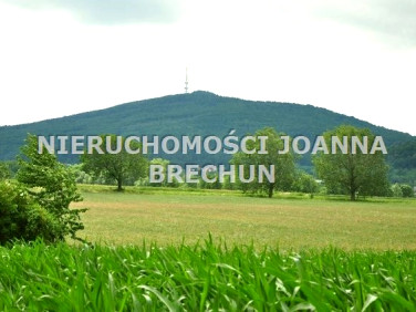 Działka budowlana Jaszowice