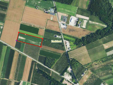 Działka inwestycyjna Zawichost