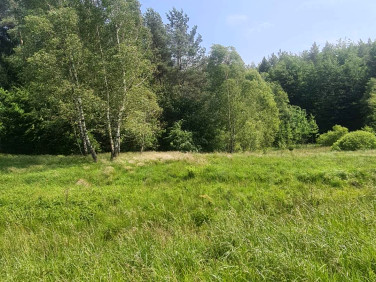 Działka budowlana Grzybno